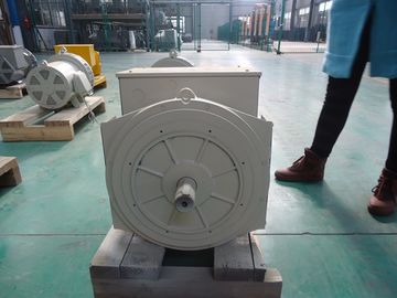 110V ~ 690V Synchronous Brushless Double Bearing Alternator 40kw / 50kva