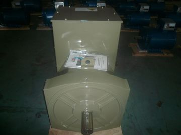 300KW Double Bearing Alternator With First Class AVR IP22 AC Single Phase